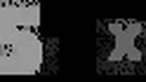 2025年世界球会杯分组结果公布：曼城与尤文图斯分在同一小组