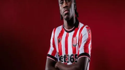 Pg电子试玩模拟器